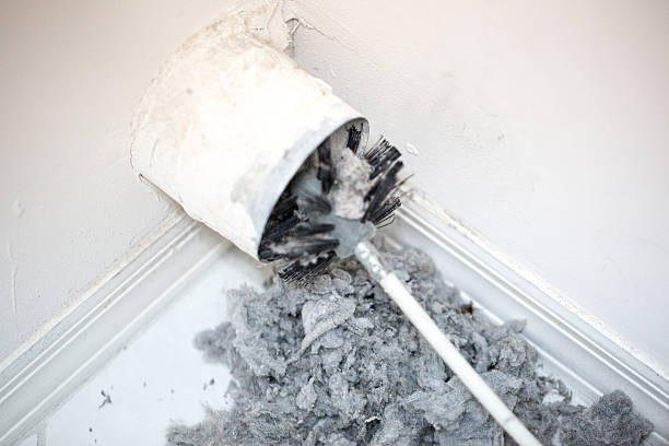 Best Affordable Air Duct Cleaning  in Detroit Beach, MI